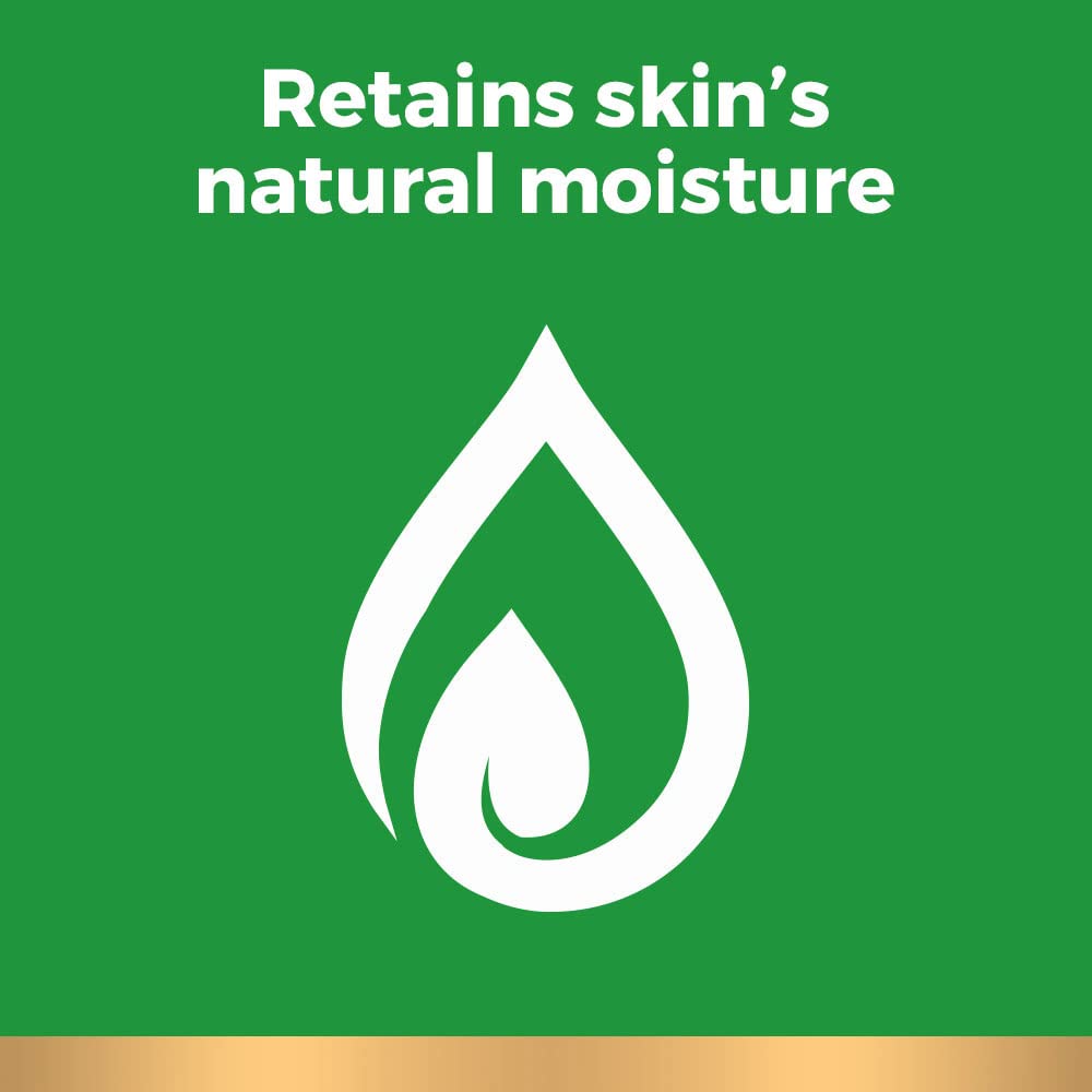 Irish Spring Original Clean Body Wash, 30 Oz Pump (Pack of 4)