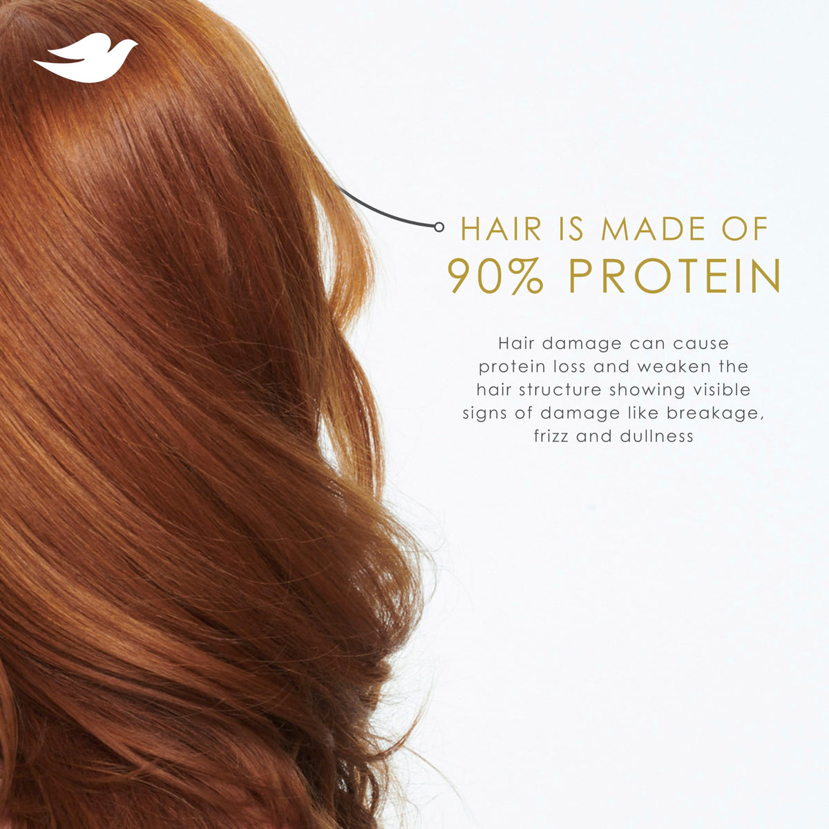 Dove Shampoo 4 count Intensive Repair for Damaged Hair with Bio-Protein Care Technology and Amino Serum 12 Fl Oz